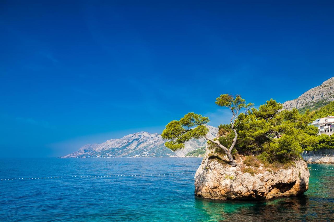 Bluesun Hotel Maestral Brela Εξωτερικό φωτογραφία